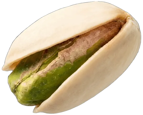 A whole pistachio