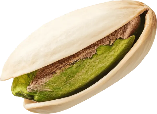 A shelled pistachio