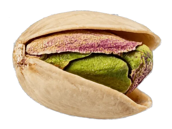 An open pistachio shell