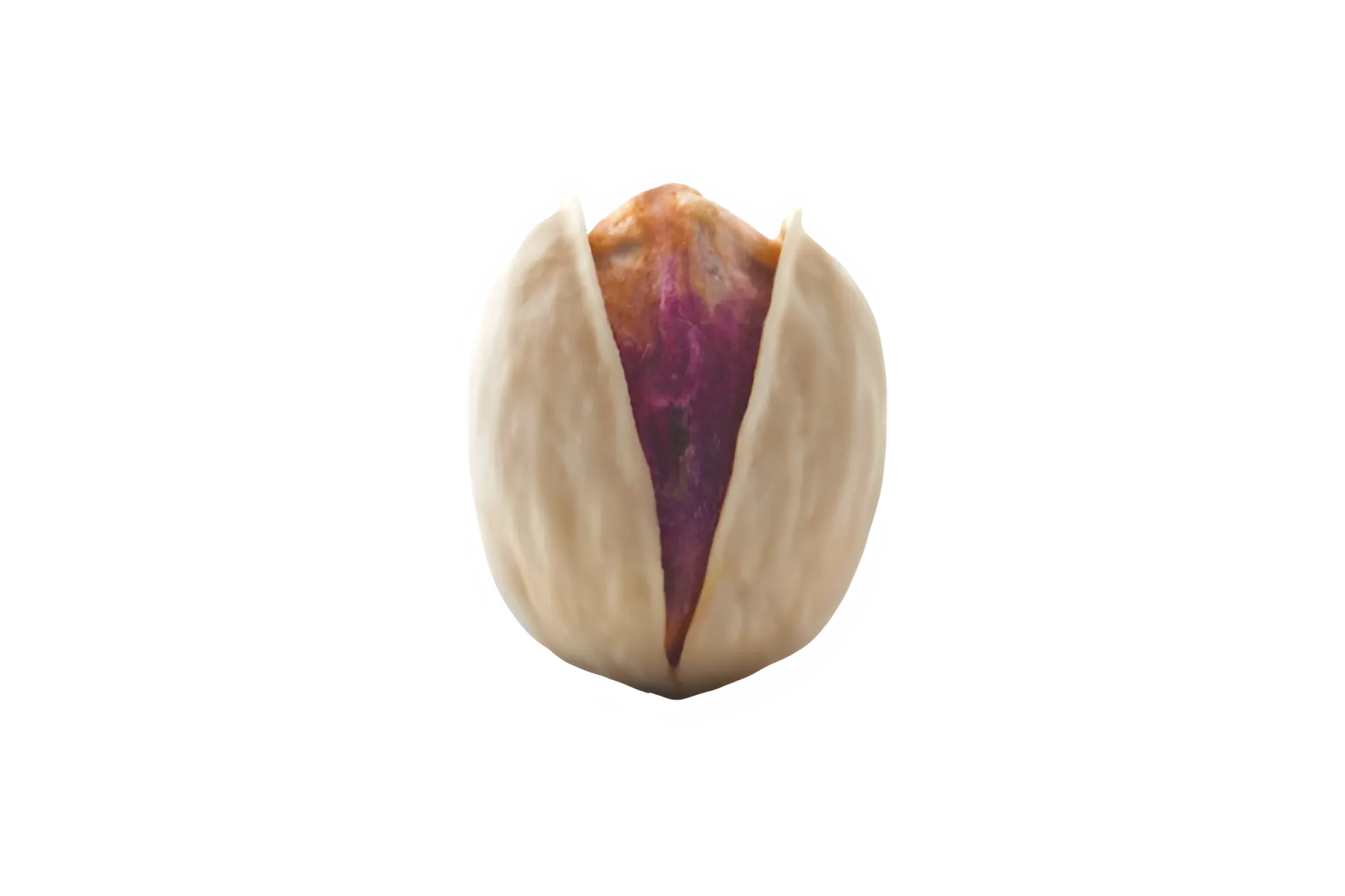 Jumbo (Kalleh Ghouchi) in-shell pistachios from Rafsanjan, Iran