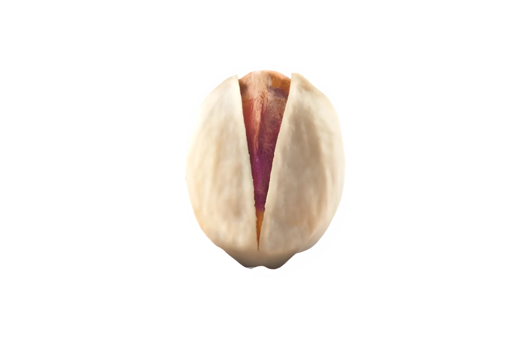 Round (Fandoghi) in-shell pistachios from Rafsanjan, Iran