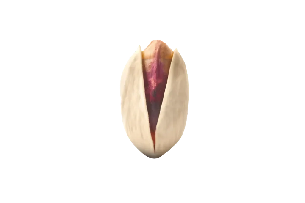 Iranian Pistachio Varieties: Akbari, Ahmad Aghaei, Kalleh Ghouchi and Fandoghi