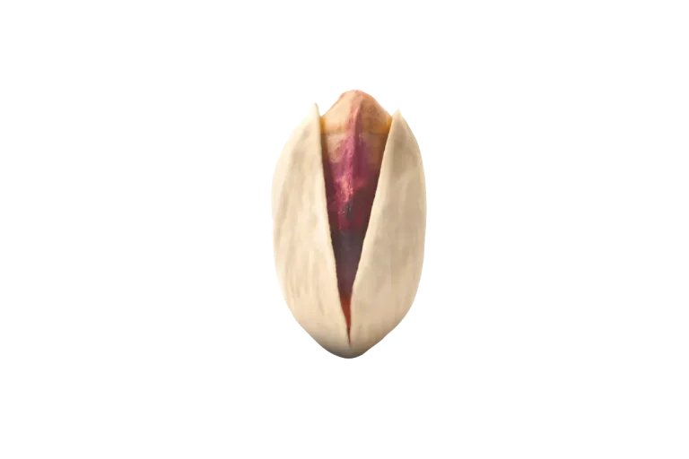Iranian Pistachio Varieties: Akbari, Ahmad Aghaei, Kalleh Ghouchi and Fandoghi