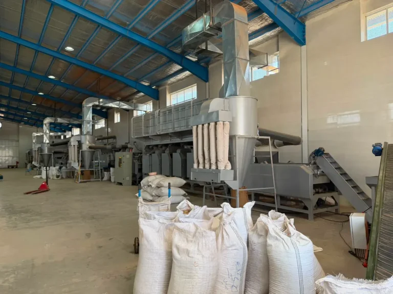 Aflatoxin in Pistachios: Limits, Testing and Prevention