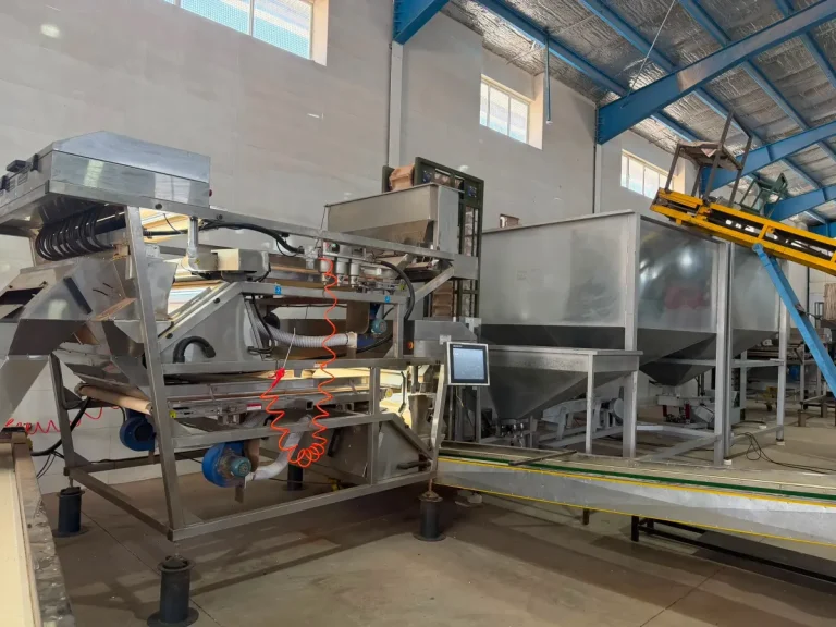 From Orchard to Container: How Pistachios Are Harvested and Processed