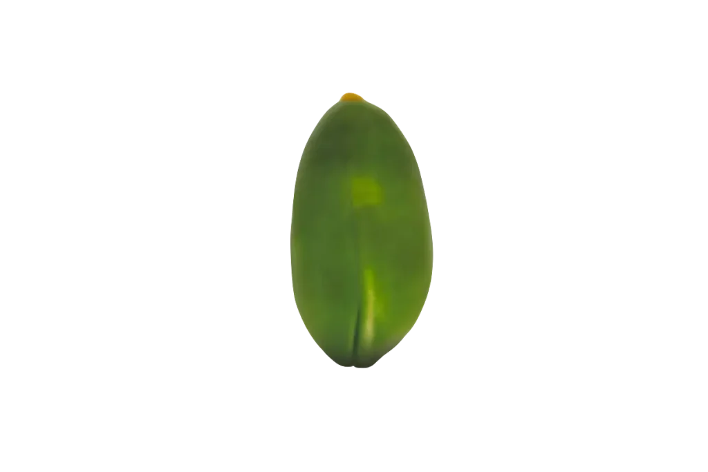 Green Peeled Pistachio Kernels: Grades, Harvest and Uses