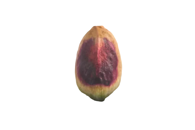 Pistachio Ingredients for Food Manufacturers